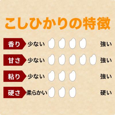 ふるさと納税 笠間市 【毎月定期便】【玄米】笠間産 コシヒカリ 5kg全3回 |  | 03