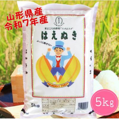 ふるさと納税 酒田市 山形県産　はえぬき5kg　令和7年産