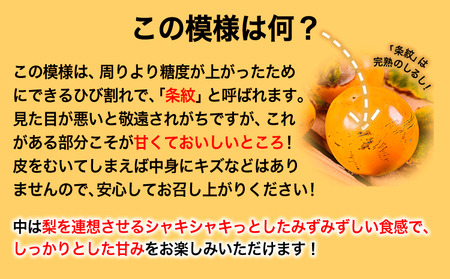 熊本県大津町産 タカハマ観光農園の太秋柿 約2.5kg《10月中旬-11月下旬頃出荷》