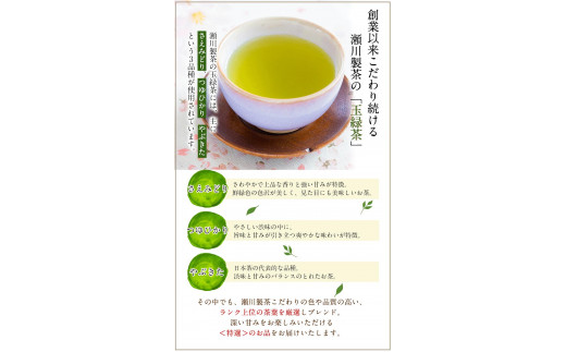 ＜特撰＞玉緑茶(たまりょくちゃ)「一番茶」 100g×5本  大津町産  瀬川製茶《60日以内に出荷予定(土日祝除く)》---so_sgwtokutam_60d_20_20000_500g---