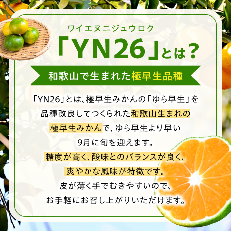 DZ6240_【2026年先行受付】家庭用 YN26 ゆら早生 有田みかん 和歌山 訳あり わけあり 小玉(3Sサイズ) 約2kg