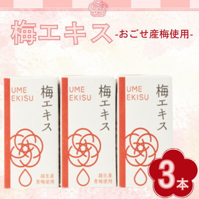 【ふるさと納税】梅エキス 3本入り【1640861】