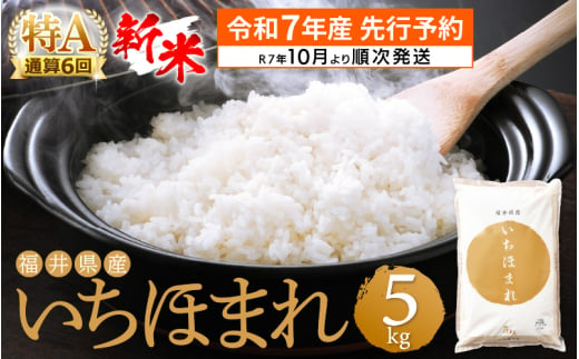 【新米・先行予約】令和7年産 お米 いちほまれ 5kg 特A通算6回！福井県産【米 コメ kome 5キロ 精米 白米】【令和7年10月より順次発送予定】 [e27-a033_10]