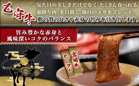 ≪限定200セット≫隔月6回お届け!【宮崎牛A5】焼肉6種盛り(乙守牛）_T180-6-6501_(都城市) 都城産宮崎牛 A5 焼肉6種盛 各100g ロース/肩ロース/ウデ/バラ/モモ(赤身)/モ