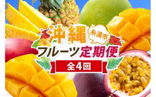  【定期便全4回】沖縄 フルーツ 定期便 4回 パーションフルーツ スナックパイン パイン マンゴー キーツマンゴー フルーツ定期便 果物 パイナップル 沖縄マンゴー 沖縄 夏 旬 フルーツ くだもの 定期便 沖縄県 糸満市  【 先行予約 2025年 発送 】 