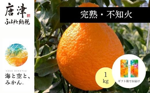 
『予約受付』【令和7年2月上旬発送】唐津産ハウス育ち「不知火」1kg 贈答箱・ギフトボックス入り ～海と空と、みかん～ デコポン ミカン みかん 柑橘 ギフト
