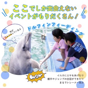 【下田海中水族館】ペア入場券