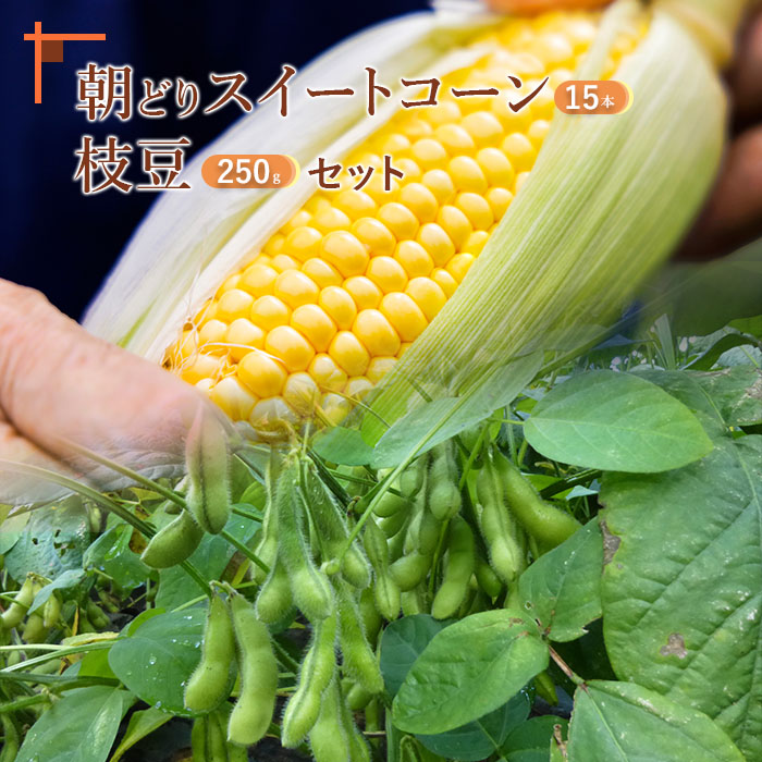 『★先行予約★8初旬より順次発送』枝豆２５０ｇ入り３パック＆朝どりスイートコーン１５本 北海道産 枝豆 とうもろこし【31000202】