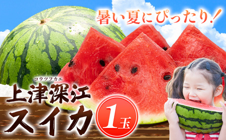 【先行予約】上津深江すいか 1玉 スイカ 夏