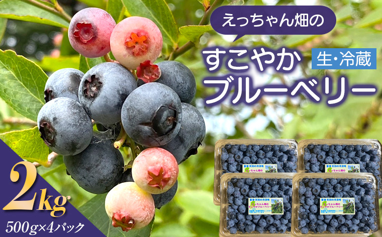 
                  えっちゃん畑のすこやかブルーベリー 2kg（500g×4パック／生・冷蔵）
                