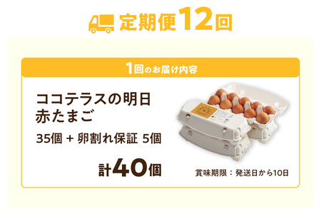 【12ヵ月定期便】ココテラスの明日（赤たまご）35個 + 5個保証（計40個）【JGAP認証】 農家直送 新鮮 卵 タマゴ 赤卵 玉子 鶏卵 朝食 夕食 夜食 朝ごはん たまご焼き オムレツ 卵ご飯 