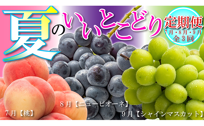 【全3回】フルーツ定期便「丸亀市夏のいいとこどり定期便」/シャインマスカット 桃 ピオーネ 定期配送 頒布会 果実 果物 果物類 ブドウ ニューピオーネ 季節の果物 旬のフルーツ 