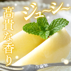 【令和7年産 先行予約】西洋梨エルドラド5kg　秀品　化粧箱入り 山形県 東根市 東根農産センター提供 hi027-197-1 エルドラド 洋梨 洋ナシ フルーツ 果物 くだもの 化粧箱 産地直送 期