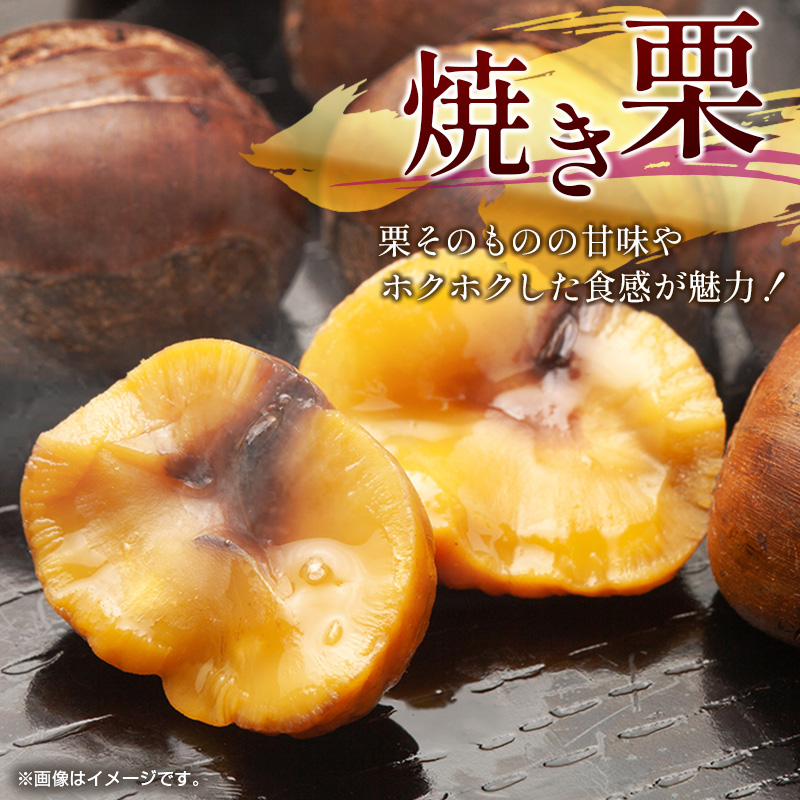 ＜2026年出荷!!＞国産 低温熟成栗（生栗）1kg 熟成宝珠栗 産地直送 宮崎県新富町産 先行予約【B671-26】