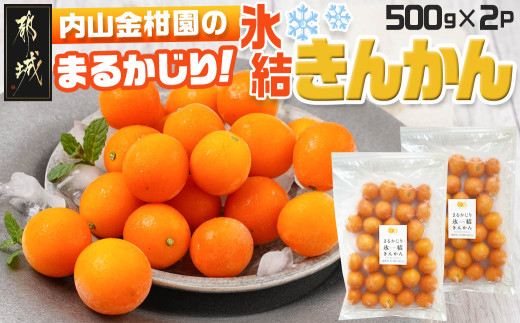 
            【徳用】内山金柑園のまるかじり氷結きんかん1kg(500g×2P)_12-J702_(都城市) 果物 急速冷凍 完熟きんかん 糖度16％以上 スイーツ おやつ 冷凍きんかん
          