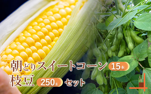 『★先行予約★8初旬より順次発送』枝豆２５０ｇ入り３パック＆朝どりスイートコーン１５本 北海道産 枝豆 とうもろこし【31000202】