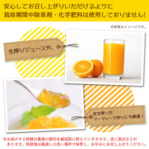 ＜旬をお届け！温州みかん 約5kg＞ 数量限定 ミカン 蜜柑 果物 柑橘類 果実 オレンジ フルーツ 早生 20号 手軽 特産品 国産 明浜産 二ノ宮商事株式会社 愛媛県 西予市【常温】『2024年1
