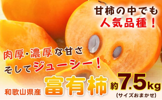 
										
										甘柿の王様 和歌山産富有柿 約7.5kg サイズおまかせ 厳選館《2024年11月上旬-12月下旬頃出荷》和歌山県 日高町 柿 カキ フルーツ ジューシー---wsh_gsk28_ab1112_24_18000_7500g---
									