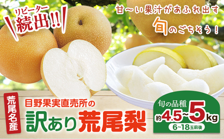 【先行予約】 訳あり 梨 荒尾梨 約 4.5kg ～ 5kg (6～18玉前後) 秋 旬 目野果実直売所《7月下旬-10月上旬頃出荷》熊本県 荒尾市産 なし フルーツ 果物 新鮮 愛甘水 幸水 秋麗 豊水 あきづき のいずれか 品種の指定不可 ご家庭用 美味しい梨 旬の梨 ジューシー梨 フルーツ梨