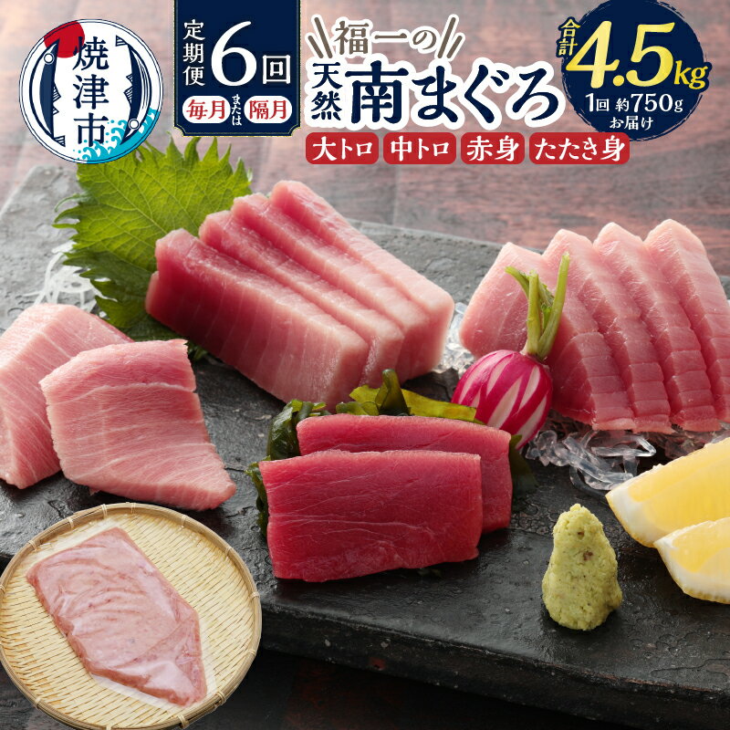 【ふるさと納税】 定期便 マグロ 冷凍 焼津 大トロ 中トロ 赤身 まぐろたたき身 天然 南鮪 計約750g 【定期便6回連続、隔月選べる】（b150-031）