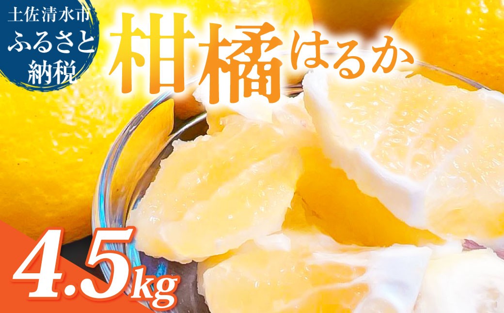 
                  【令和8年12月】はるか 4.5キロ 栽培期間中農薬不使用 ラクファーム 日向夏の偶発実生 みかん 蜜柑 ミカン 柑橘 かんきつ フルーツ オレンジ 果物 くだもの 果汁 甘い ジューシー 高知県 土佐清水市 送料無料 高知 17000円【R01586】
                
