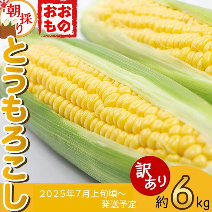 【ふるさと納税】【訳あり】下妻産朝採りとうもろこし（おおもの）約6kg【先行予約 2025年7月上旬頃～順次発送予定】