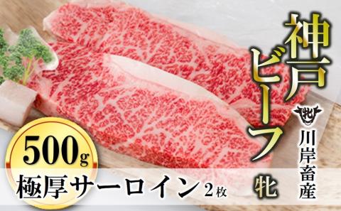 【川岸畜産・期間限定】神戸ビーフ 牝　極厚サーロインステーキ２枚 （約500g） 40-9