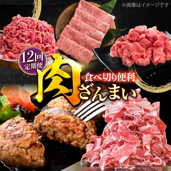【ふるさと納税】【12回定期便】肉ざんまい定期便 一人暮らし 少量【川崎畜産】国産 肉 お肉 牛肉 冷凍 定期配送 食べ比べ セット 詰め合わせ 佐賀県 白石町 [IAX051]