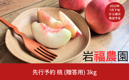 先行予約 新潟県産 桃 3kg [岩福農園] 【010P042】