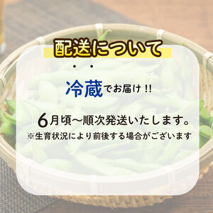 【先行予約】 枝豆 2.5kg えだまめ ぐりぱ
