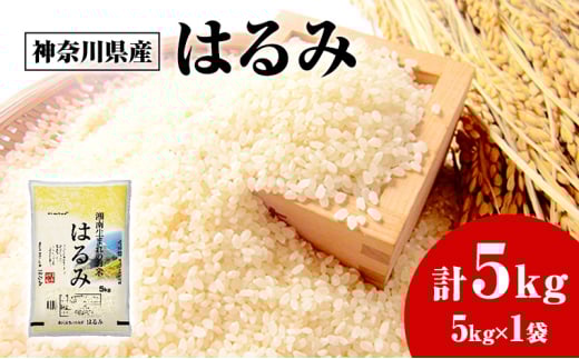 米 はるみ 5kg こめ 甘い ツヤ キヌヒカリ コシヒカリ kome ※ お米 白米 ご飯 ごはん 弁当 お弁当 おにぎり はくまい 美味い 甘い ブランド 湘南の晴れた海 精米 ブランド米 湘南生まれ 米 食味 ランキング 最高評価 「 特A 」 株式会社ミツワライス 神奈川 湘南 藤沢