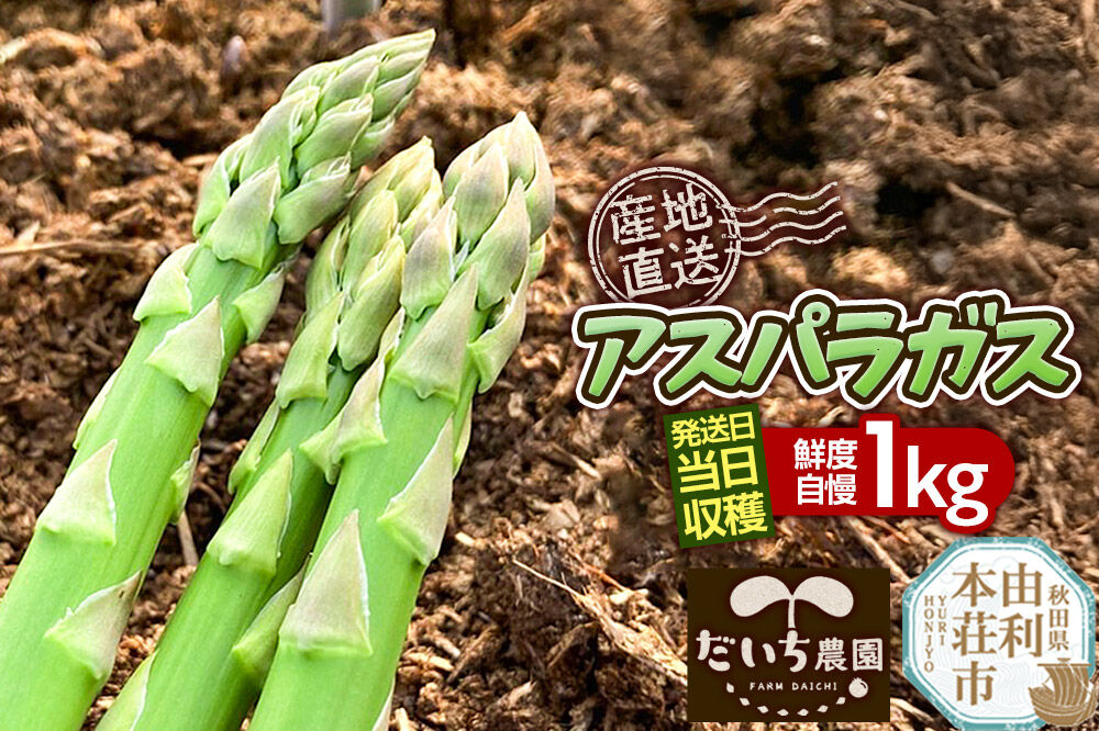 《先行受付》アスパラガス 1kg  4月中旬〜5月下旬発送 秋田県 由利本荘市 [アスパラガス アスパラ 自社農園 栽培 鮮度抜群 ハウス栽培 茎まで柔らかい クセのない甘さ 産地直送 産直 素焼き 秋田 由利本荘市 だいち農園]