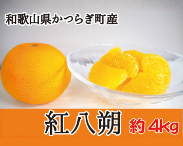 八朔 紅八朔 甘酸っぱさ、はじける。かつらぎの紅八朔 約4ｋｇ【2026年2月中旬～2026年2月下旬お届け予定】【A-frks188】