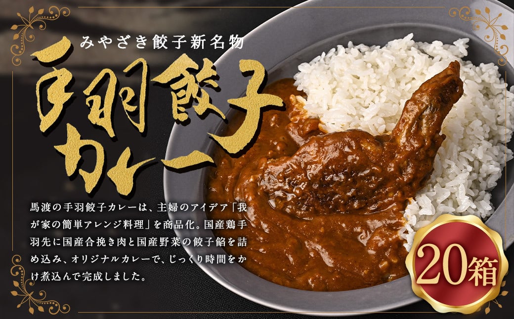 〈 みやざき餃子新名物 手羽餃子カレー 20箱 〉翌月末迄に順次出荷 カレー 餃子 ギョウザ ギョーザ 手羽餃子 レトルト 常温保存 餃子の馬渡