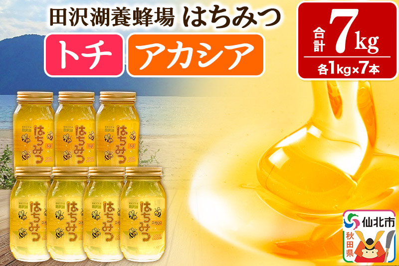 秋田県産はちみつ アカシア蜜1kg×4本 トチ蜜1kg×3本 合計7kg 化粧箱入り 田沢湖養蜂場 [蜂蜜 はちみつ ハチミツ 国産 アカシア アカシヤ]