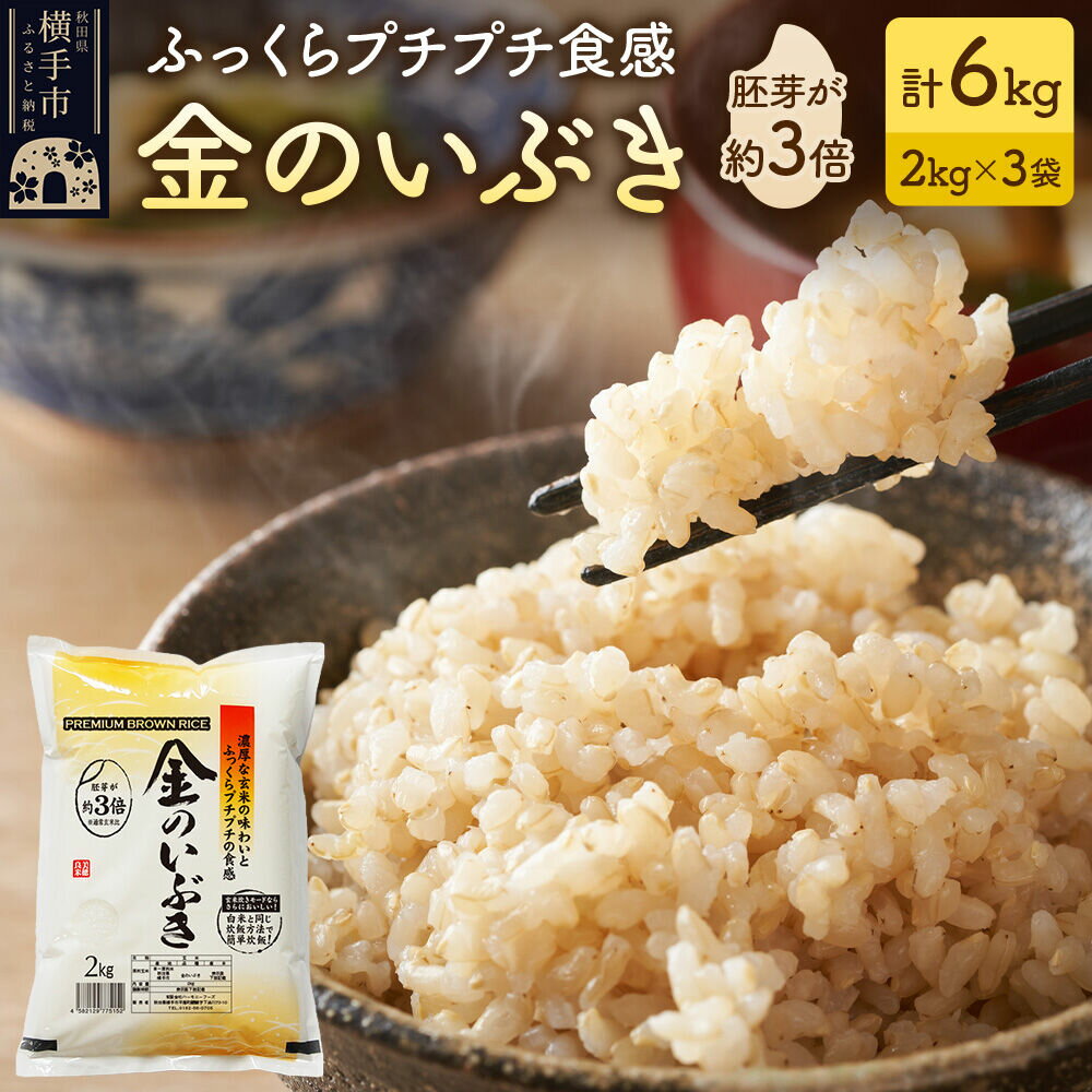 【ふるさと納税】【玄米】令和7年産 金のいぶき 6kg（2kg×3袋） [秋田県産 金のいぶき 玄米 プレミアム玄米 6キロ]