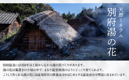 【定期便6回発送】別府温泉湯の花エキス配合　薬用入浴剤　湯躍月白　6回お届け_B023-013