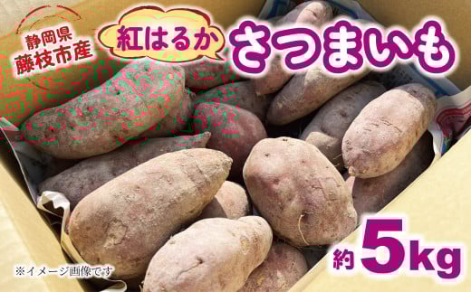 【2025年11月～順次発送予定】 さつまいも 紅はるか 約5kg 期間限定 サツマイモ 焼き芋 イモ 芋 いも 野菜 健康 やさい 人気 おすすめ 静岡県 藤枝市