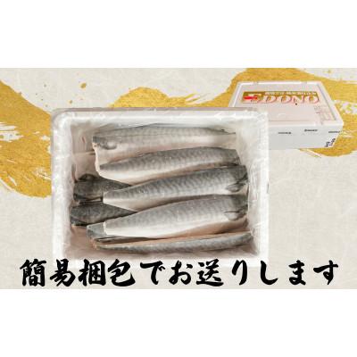 ふるさと納税 銚子市 適塩さば 純米酒仕込み 10枚 |  | 01