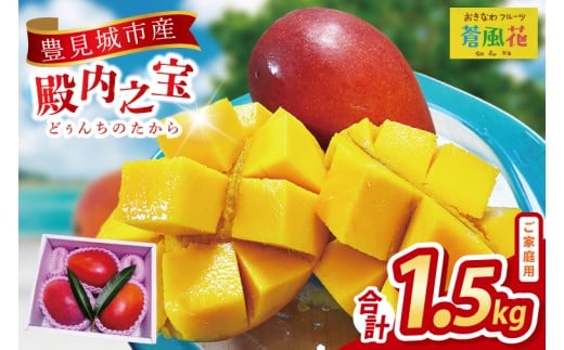 【2026年7月より順次発送】豊見城産マンゴー『殿内之宝(どぅんちのたから)』約1.5kg(ご家庭用)｜マンゴー フルーツ 果物 くだもの 先行予約 完熟マンゴー 沖縄フルーツ 家庭用 おきなわ 沖縄 沖縄県 豊見城市(DR005)