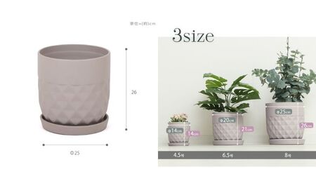 植木鉢 Φ25 crescere クレッシェル 選べるカラー セラミック 約 8号 フラワーポット プランター 鉢 受け皿 大型 観葉植物 おしゃれ くすみカラー ガーデニング用品 ガーデニング 園芸