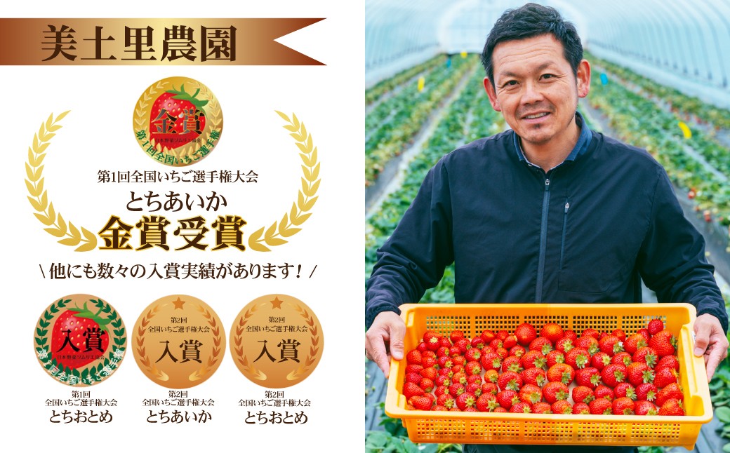 いちご イチゴ 苺 とちおとめ ギフト いちご イチゴ 苺 とちおとめ ギフト