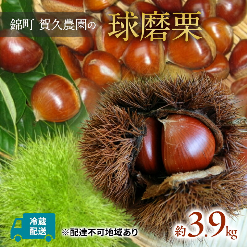 【ふるさと納税】栗 草生栽培で育てた賀久農園の球磨栗 約4kg 2025年発送 配送不可 離島 果物類 くり 　お届け：2026年9月上旬～11月上旬