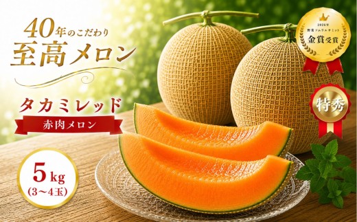 タカミレッド 3〜4玉（合計約5kg） | 2027年 先行予約メロン 完熟 果物 フルーツ ギフト  デザート  栃木県 真岡市 送料無料