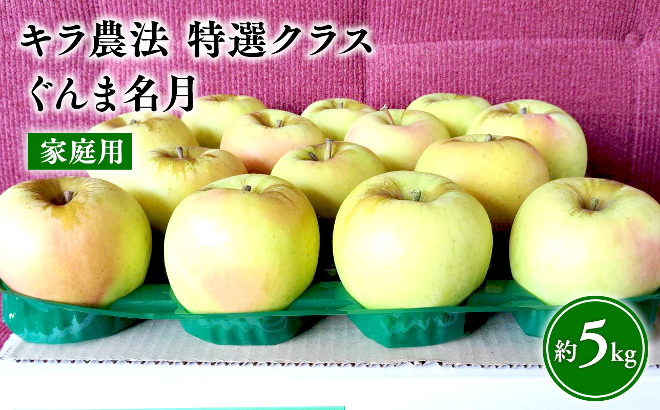 
            ≪11～12月発送≫青森県産 キラ農法 家庭用 ぐんま名月 約5kg【青森県 平川市 夢ファクトリー】 完熟りんご 
          