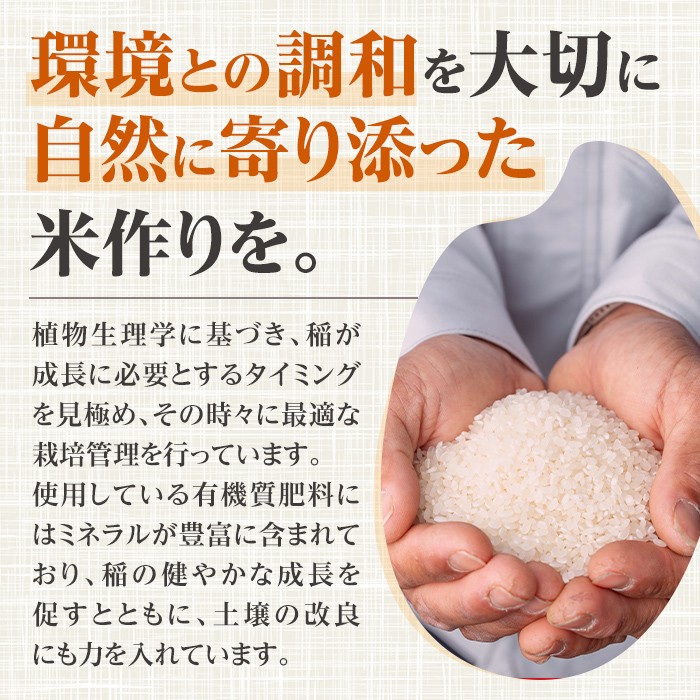 i1079-A-Xm 【クリスマスギフト】＜令和7年産 新米＞鹿児島県 出水市産 ヒノヒカリ (5kg) 米 5kg ひのひかりヒノヒカリ 鹿児島 5キロ お米 九州 九州産 甘み あっさり もちもち