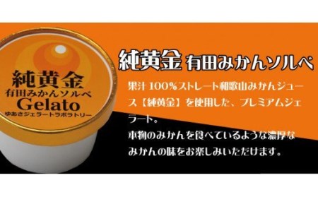 プレミアムジェラート 純黄金12個セット 有田みかんソルベ アイスクリームセット 100mlカップ ゆあさジェラートラボラトリー 【kstb700-08】