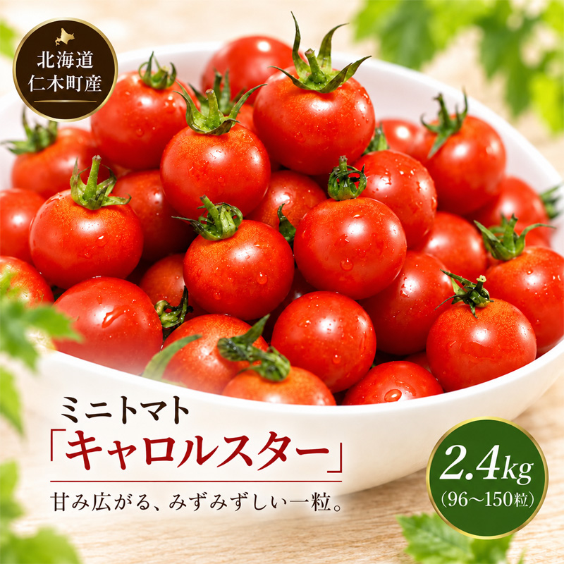 [先行受付] 北海道 仁木町産 ミニトマト キャロルスター 2.4kg （96粒～150粒）トマト 野菜 国産 プチトマト 甘み 使いやすい サラダ お弁当 家庭用 子供に人気 リコピン [REDA FARM]