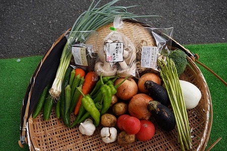 お野菜セット アビトルベジタブル+しいたけ+お米2kg 合計8～10品目詰め合わせセット 季節の野菜 旬の野菜 やさい 新鮮 産地直送 米 きのこ キノコ お米 産直 国産 京都 京都産 ※北海道・沖