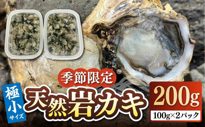 
【季節限定】 天然 岩カキ 100g×2パック（生食用）《壱岐市》【鈴の海庭】 牡蠣 カキ 岩牡蠣 貝 魚貝 海産物 おつまみ カキフライ 鍋 カキ鍋 牡蠣鍋 カキ飯 [JFV002]
